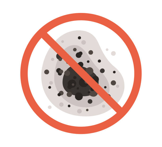 Best Environmental Consulting for Mold Prevention  in Clark, SD