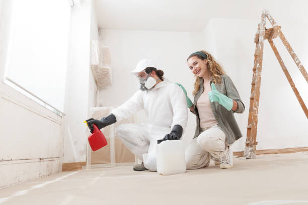 Best Commercial Mold Inspection  in Clark, SD