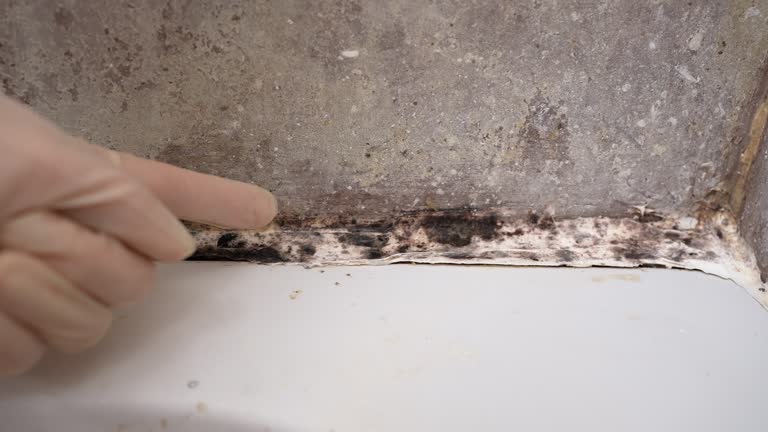Best Air Quality Testing for Mold Spores  in Clark, SD